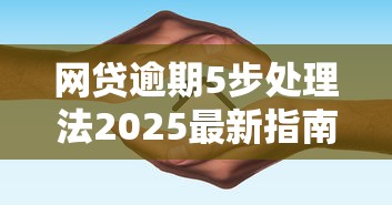 网贷逾期5步处理法2025最新指南