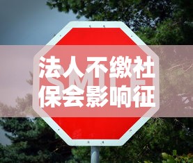 法人不缴社保会影响征信吗