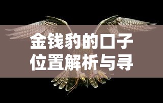 金钱豹的口子位置解析与寻找技巧