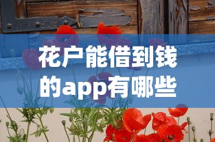 花户能借到钱的app有哪些