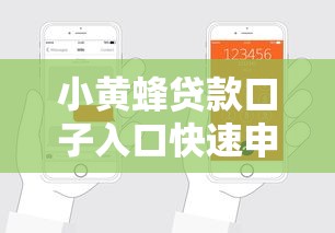 小黄蜂贷款口子入口快速申请通道
