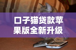 口子猫贷款苹果版全新升级上线