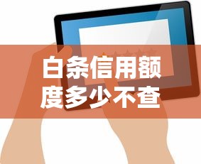 白条信用额度多少不查征信