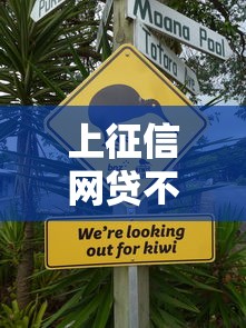 上征信网贷不催收的真相解析