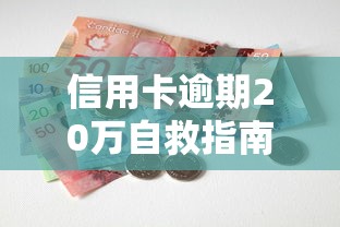 信用卡逾期20万自救指南