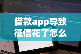 借款app导致征信花了怎么补救