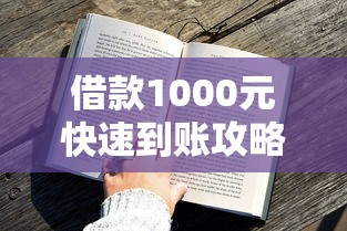 借款1000元快速到账攻略指南