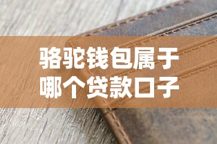 骆驼钱包属于哪个贷款口子