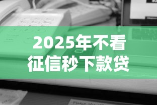 2025年不看征信秒下款贷款平台