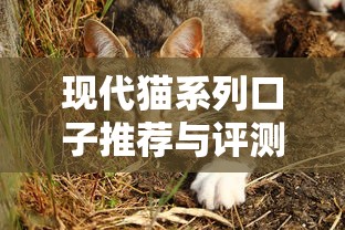 大额贷款平台有哪些？急需高额度快速下款的渠道推荐