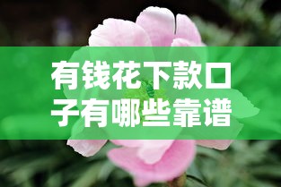 2025高炮口子秒下款不看通讯录