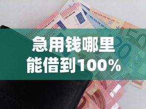 白猫贷黑户能下款吗最新解析