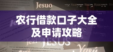 信用卡无视风控2025年终极速贷策略！顺道盘点五个网贷无视风控借钱口子
