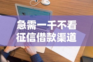 急需一千不看征信借款渠道推荐