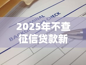 2025年不查征信贷款新口子
