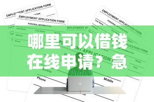 哪里可以借钱在线申请？急需正规靠谱的借款平台