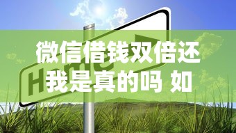 微信借钱双倍还我是真的吗 如何避免借钱被骗并追回损失