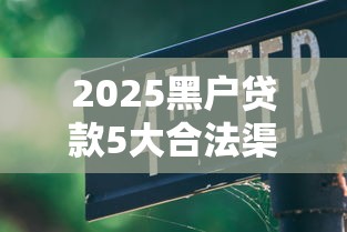 2025黑户贷款5大合法渠道指南