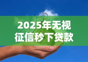 2025年无视征信秒下贷款推荐
