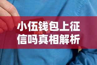 小伍钱包上征信吗真相解析