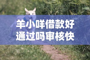 羊小咩借款好通过吗审核快吗