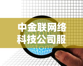 中金联网络科技公司服务与创新解析