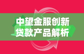 中望金服创新贷款产品解析