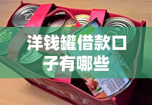 洋钱罐借款口子有哪些