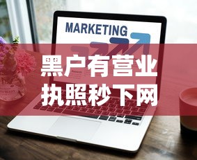 黑户有营业执照秒下网贷平台