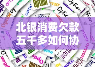 北银消费欠款五千多如何协商还款