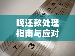 晚还款处理指南与应对策略
