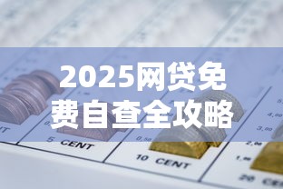 2025网贷免费自查全攻略