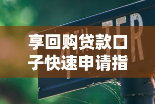 享回购贷款口子快速申请指南