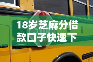 18岁芝麻分借款口子快速下款攻略