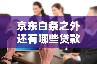 京东白条之外还有哪些贷款渠道