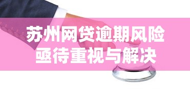 苏州网贷逾期风险亟待重视与解决