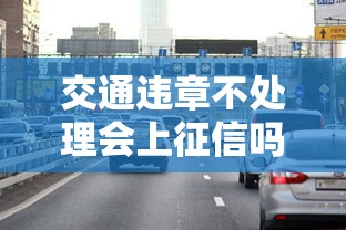 交通违章不处理会上征信吗