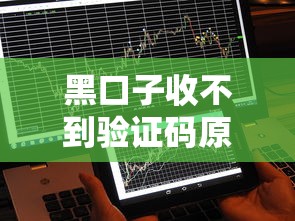 黑口子收不到验证码原因及解决方法