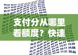 支付分从哪里看额度？快速查询支付宝信用借款额度方法