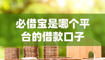必借宝是哪个平台的借款口子