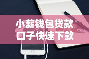 小薪钱包贷款口子快速下款攻略