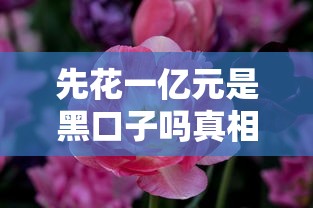 先花一亿元是黑口子吗真相揭秘