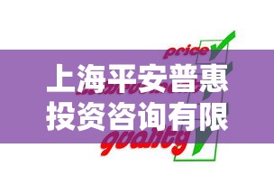 上海平安普惠投资咨询有限公司服务解析