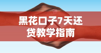 黑花口子7天还贷教学指南