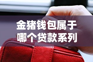 金猪钱包属于哪个贷款系列口子