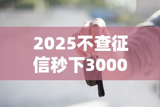 2025不查征信秒下3000借款平台