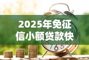 2025年免征信小额贷款快速申请