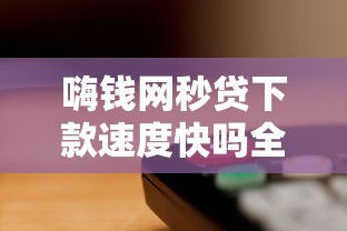 嗨钱网秒贷下款速度快吗全解析