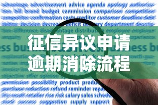 征信异议申请逾期消除流程指南