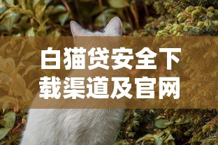 白猫贷安全下载渠道及官网指南